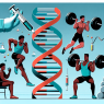 The effects of tirzepatide on increasing sports performance